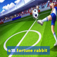 c18 fortune rabbit